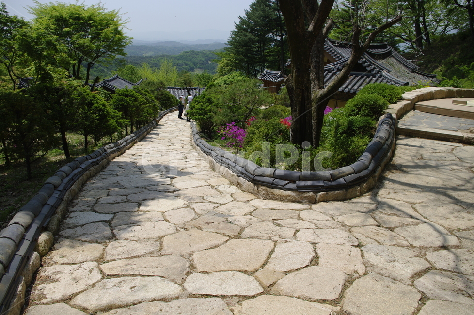 부석사,사찰,건축,전통건축,담장,traditional,길,전통,기와지붕,풍경,초록,나무,잎,식물,plant,한국전통,한국문화,korean traditional,korean culture,건축물,건물외관,exterior,building,structure,architecture,construction