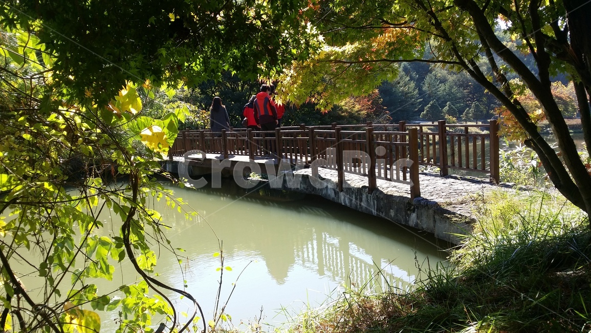 다리,호수,호수다리,연못다리,호수배경