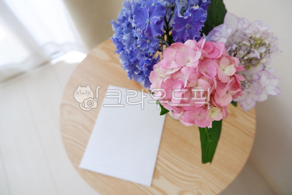 pink,hydrangea flower,hydrangea,vase,inside,paper,wood,table,floral,blossom,bouquet,room,flower,sunlight,writing pad,blue,flower flower,plant,letter,purple