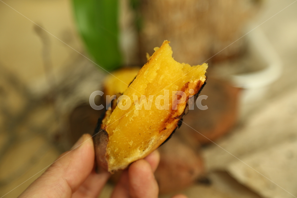 고구마,군구고마,구황작물,음식,식품,간식,호박고구마,밤고구마,달콤,sweetpotatoes,gourd,gourdcrop,food,snacks,sweet,겨울,계절,winter,season,음식,식재료,요리,food,cook,meal,dishes,food reserves