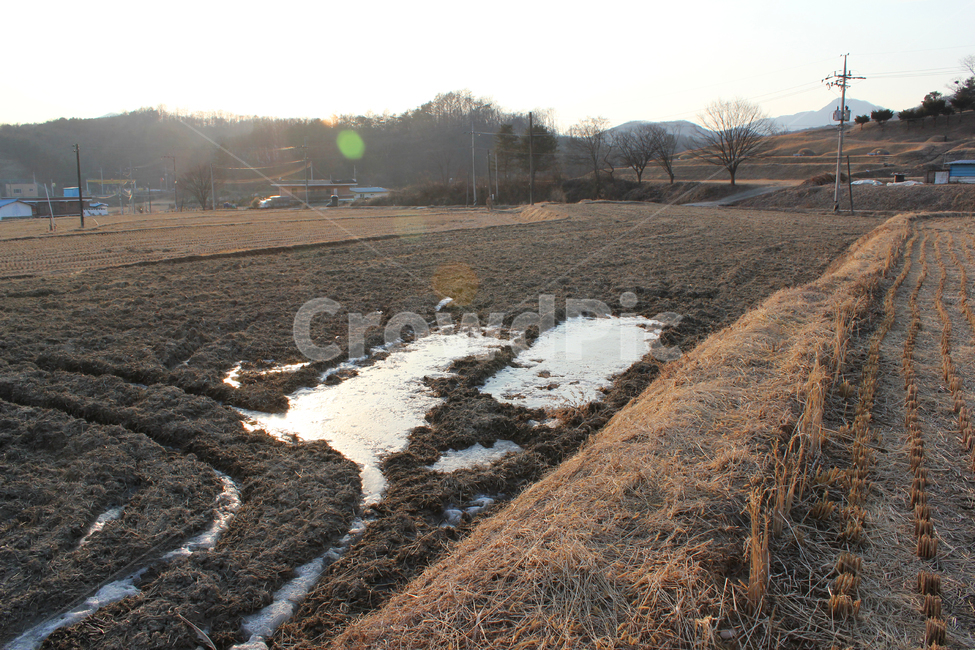 갈색,브라운,땅,자연,식물,논,논농사,겨울,시골,농사,풍경,시골풍경,농경지,농촌,논둑,산,먼산,언덕,농촌풍경,자연,풍경,nature,landscape,시골,마을,country,rural,town,산업,industry,industrial,농업,농사,agriculture,farming,farming industry,ground,바닥,gravel,자갈,road,도로,dirt road,흙길