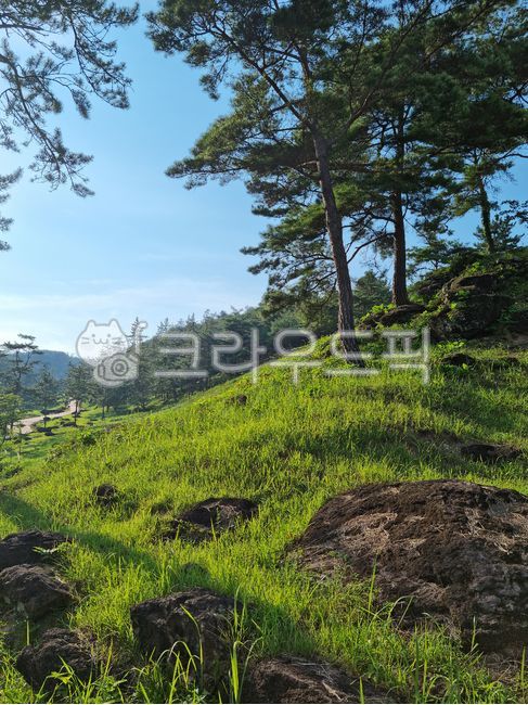 화순,전라도,한국,고인,고인돌공원,여름,공원,길,도로,산,언덕,녹색,돌,바위,풀,풀밭,초원,잔디,잔디밭,침엽수,식물,숲,문화유산,유적지,유물,자연,목초지,경사,나무,전나무