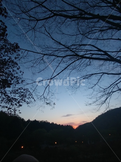 풍경,노을,저녁놀,나무,자연,자연,풍경,nature,landscape,야경,밤,nightscape,night,tree,plant,식물,outdoors,옥외