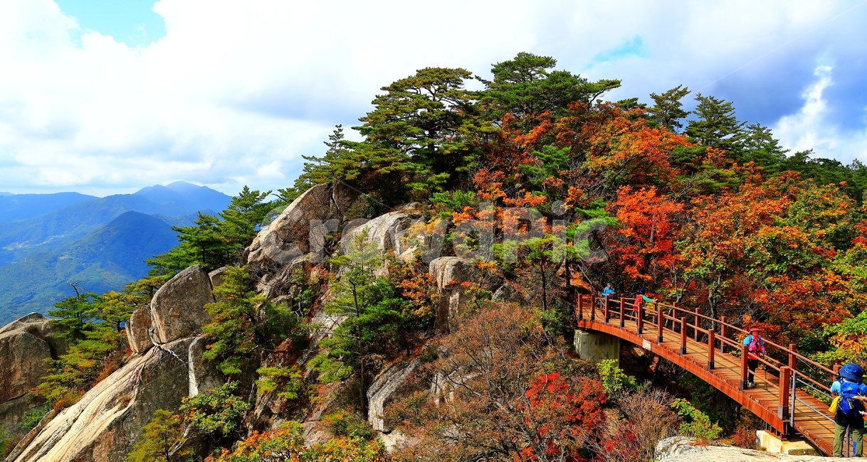 도락산,산,가을,하늘,암릉,다리,자연,풍경,nature,landscape,outdoors,옥외