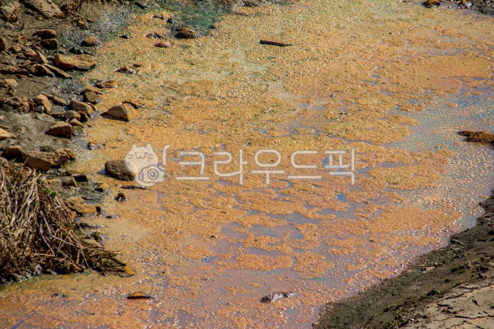 자연, nature, 옥외, outdoors, 물, 사진,이미지,일러스트,캘리그라피 - studio H작가