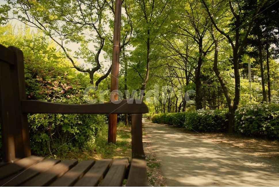 일상,감성,휴식,힐링,공원,선유도,산책,의자,초록,나무