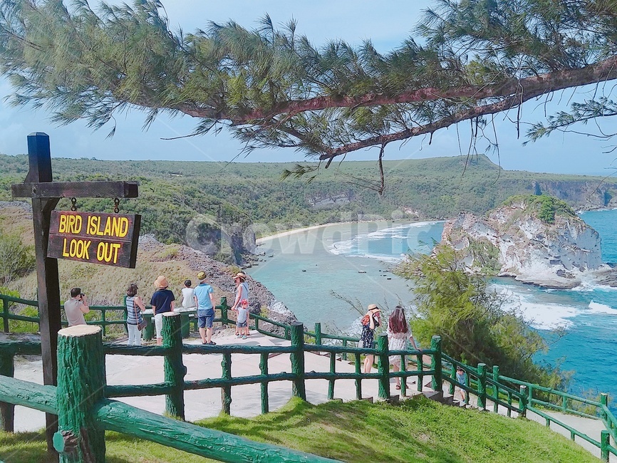 섬,절벽,바다,sign,birdisland,표지판,풍경,자연,saipan,버드아일랜드,암석,파란,하늘,구름,경치,아름다운,해안절벽,관광지,푸른바다,nature,landscape,해안,나무,침엽수,사이판