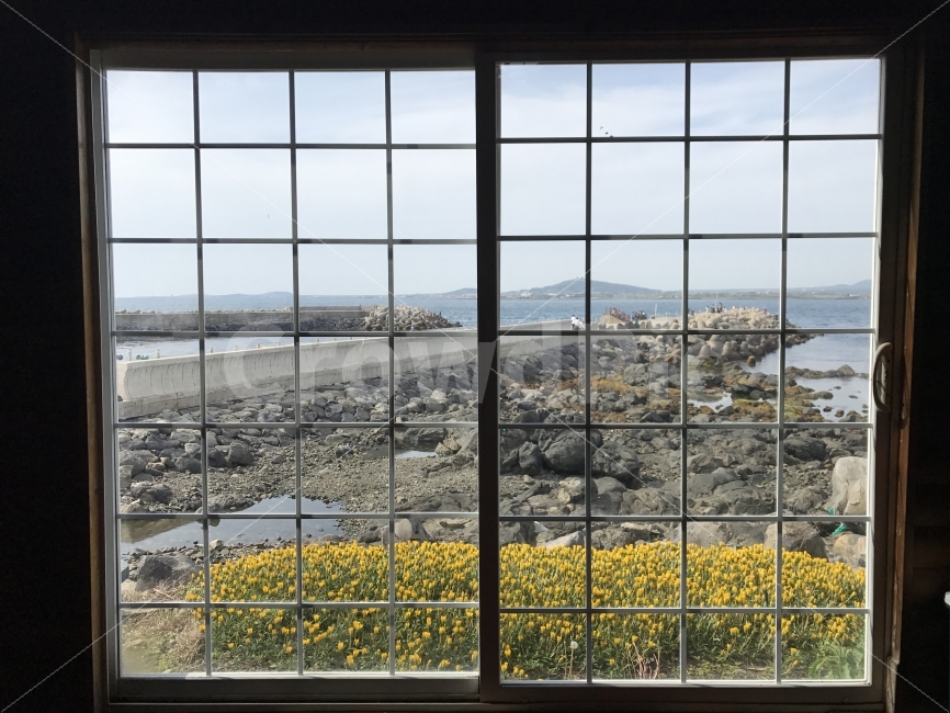 제주도,자연,무보정,가파도,창문밖,제주도,jeju,jeju island,인테리어,실내디자인,interior design,window,창문