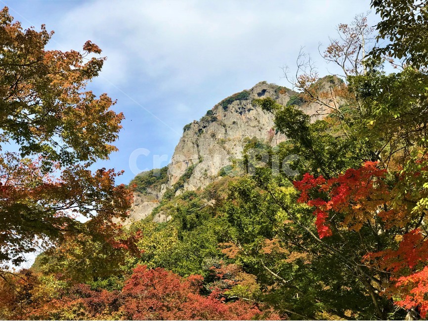 산,나무,단풍,바위산,가을,울긋불긋,피톤치드,하늘,가을,계절,fall,autumn,season,자연,풍경,nature,landscape,한국자연풍경,한국자연경관,korea nature landscape,tree,plant,식물,leaf,잎,maple