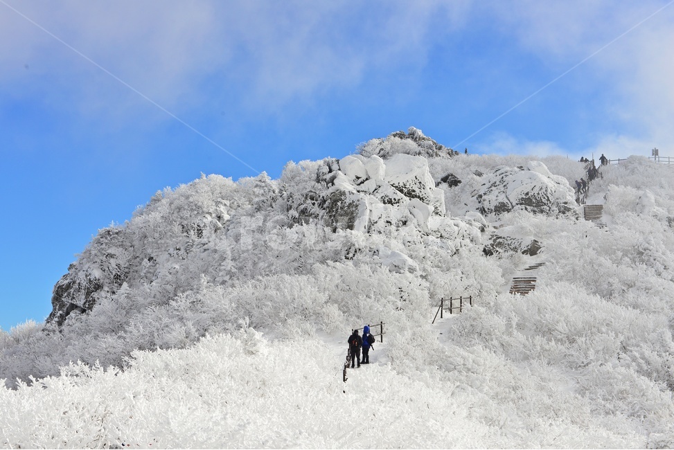무주,덕유산,덕유산설경,겨울,계절,상고대,향적봉,중봉,nature,자연,mountain,산,outdoors,옥외,ice,빙,mountainrange,산맥,snow,눈,운해,설경,폭설,겨울,계절,winter,season,자연,풍경,nature,landscape