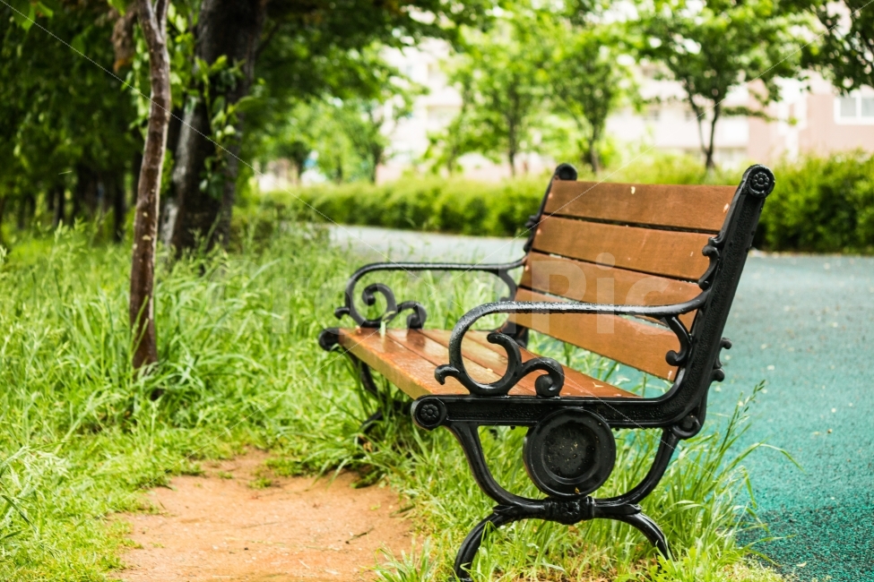 풍경,벤치,휴식,rainy,비내리는날,여름,계절,summer,season,휴식,힐링,rest,relaxation,healing,furniture,가구,bench,park bench,공원 벤치