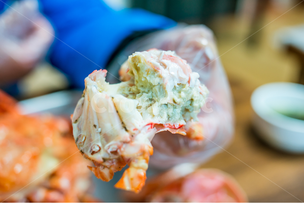 홍게,게,꽃게,랍스터,식품,해물,해산물,홍게찜,크랩,crab,braisedredcrab,redsnowcrab,음식,식재료,요리,food,cook,meal,dishes,food reserves,수산물,해산물,fishery products,seafood
