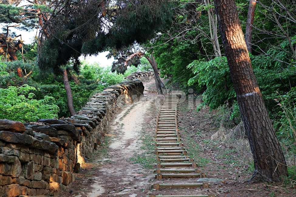 성,전등사,성곽,둘레길,돌담,풍경,배경,자연