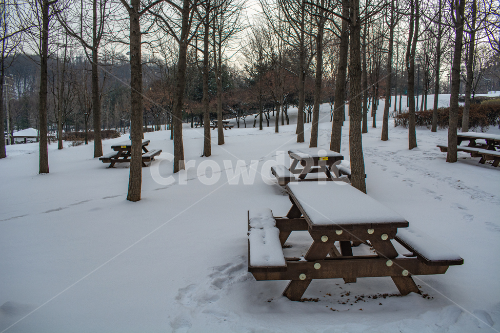 겨울풍경,눈길,백설,흰눈,눈밭,겨울,계절,winter,season,자연,풍경,nature,landscape,bench,벤치,outdoors,옥외