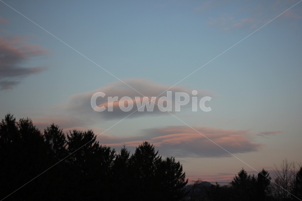 풍경,사진,풍경사진,하늘,구름,나무,scenery,sky,cloud,tree,landscape,자연,풍경,nature,landscape,plant,식물,fir,전나무