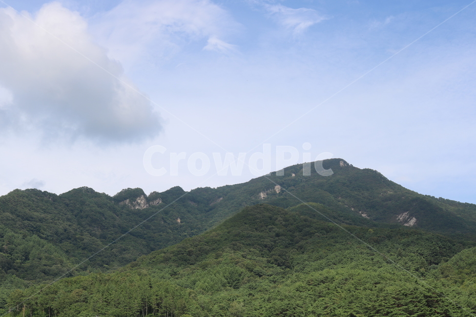 초록산,구름,파란하늘,산,나무,숲