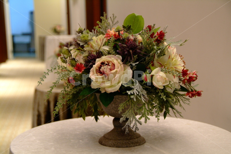 꽃,식물자연,plants,색깔,색상,색채,color,sense,flower,감성,식물,실내꽃,테이블꽃,실내인테리어