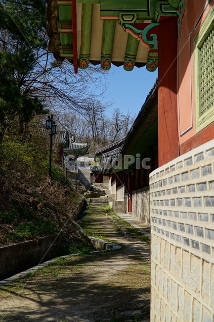 경희궁,고궁,궁궐,궁전,한옥,왕실,왕궁,조선,역사,문화재,history,hanok,culturalassets,culturalproperties,koreanstylehouse,한국,서울,korea,seoul,한국문화,전통문화,한국전통,palace,한국풍경,한국자연,서울풍경,서울자연