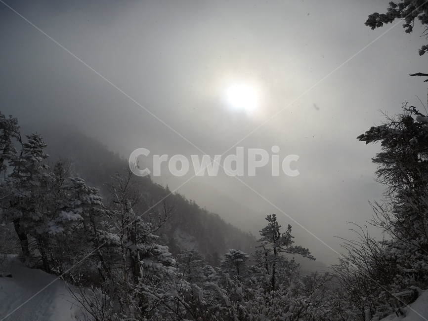 눈,설경,설산,지리산,겨울산,등산,자연,풍경,겨울,계절,winter,season