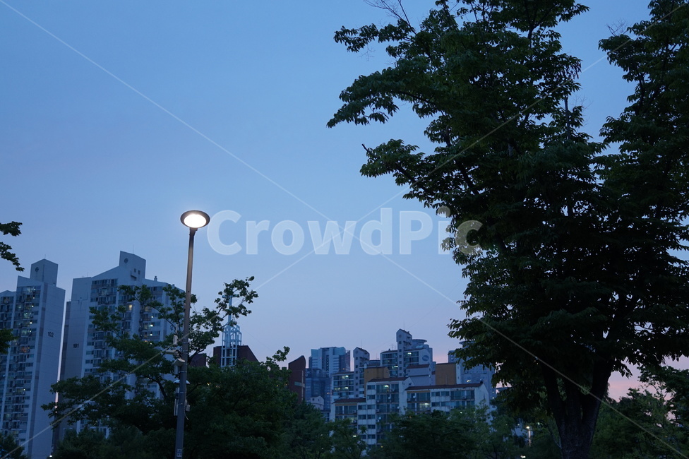 아파트,단지,새벽,저녁,가로등,실루엣,나무