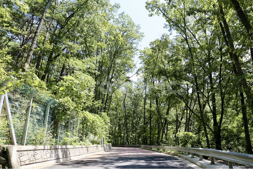쌍계사,지리산국립공원,절,사찰,대웅전
