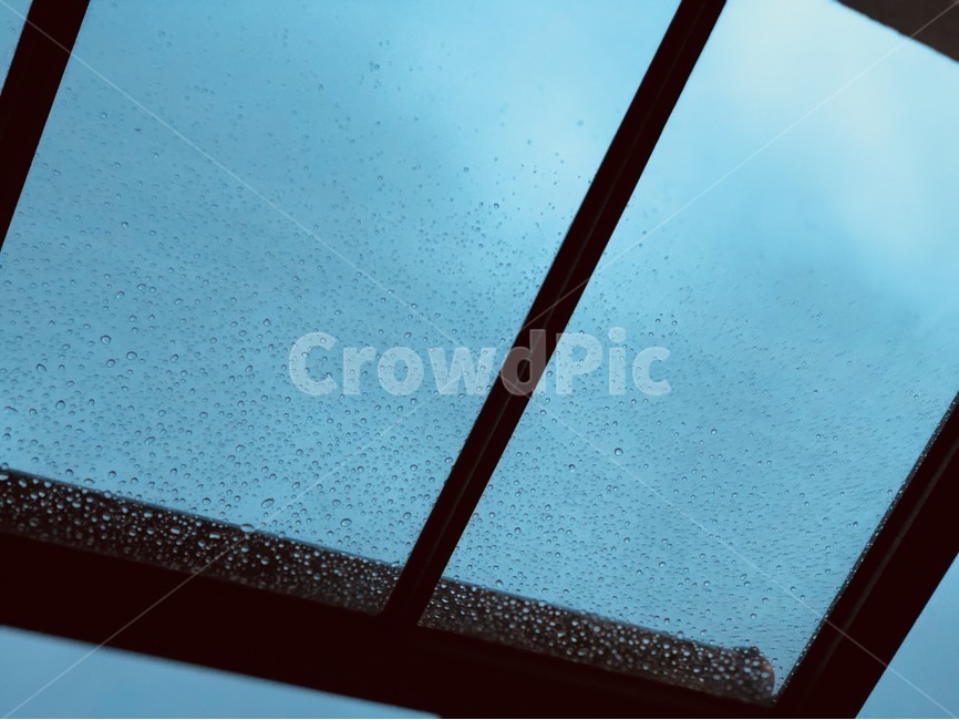 비,저녁,유리,창문,파란색,빗방울,비,비오는날,rain,rainy