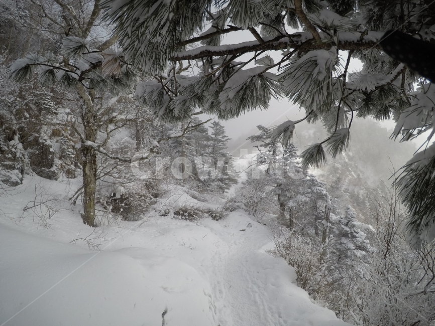 눈,설경,설산,지리산,겨울산,등산,자연,풍경,겨울,계절,winter,season