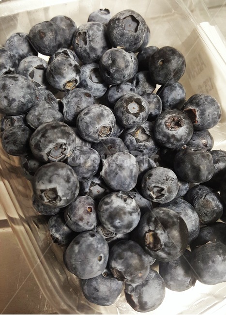 blueberry,블루베리,과일,fruit,food,보라,베리,슈퍼푸드,건강,healthy,superfood