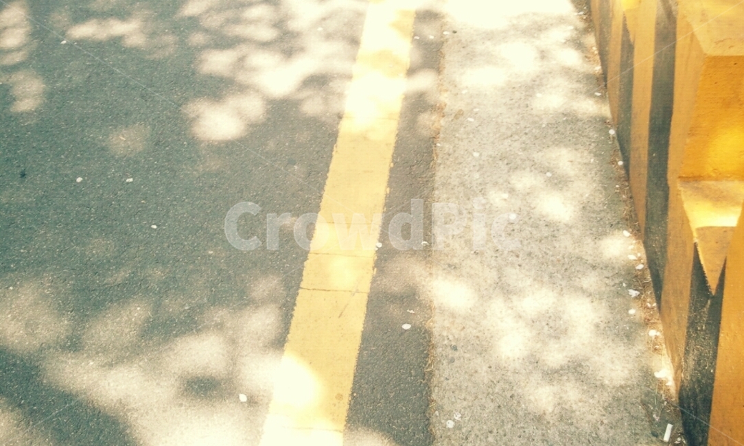 길,햇살,나무그늘,여름,도로,봄,계절,spring,season,asphalt,아스팔트