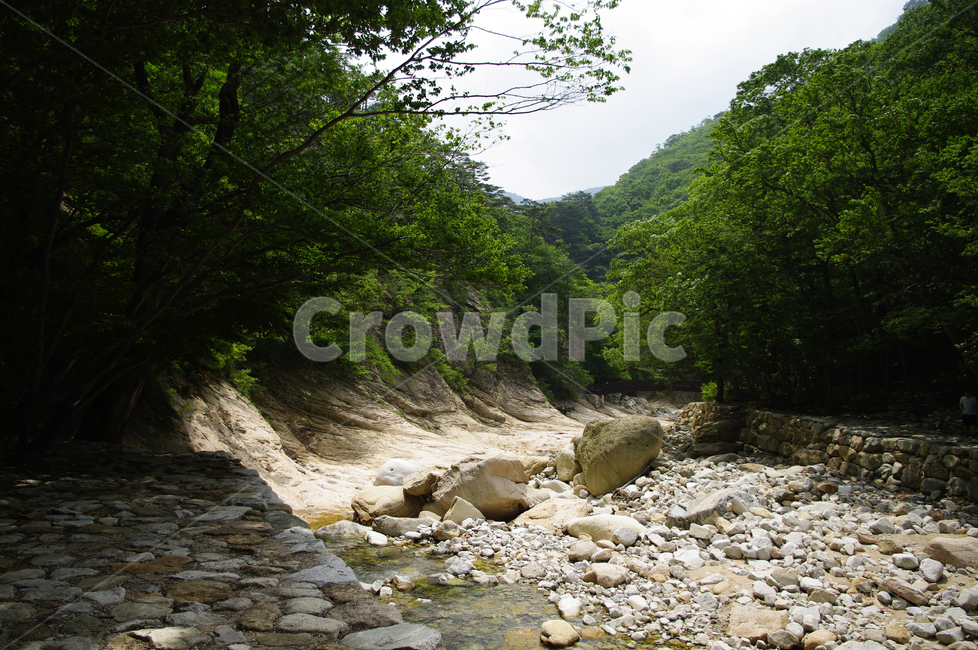 산,계곡,바위,암석,풍경,나무,자연,풍경,nature,landscape,water,물,outdoors,옥외