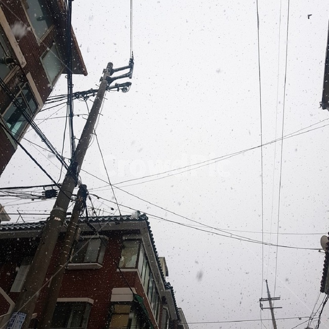 흩날리는눈,눈오는날,눈내리는날,눈,겨울,winter,snow,눈내리는풍경,주택,겨울,계절,winter,season