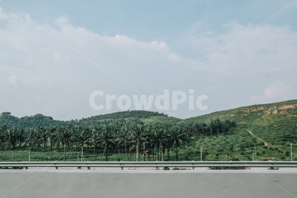 말레이시아,자연,풍경,동남아시아,쿠알라룸푸르,초원,언덕,초록,malaysia,asia,green,nature,자연,풍경,nature,landscape,해외,외국,세계,foreign,oversea,world,세계자연풍경,해외자연풍경,외국자연풍경,world nature landscape,road,도로
