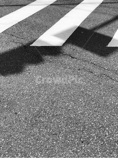 흑백,그림자,아스팔트,횡단보도,가로등,흑백,모노톤,monochrome,black and white,교통,교통수단,traffic,transportation
