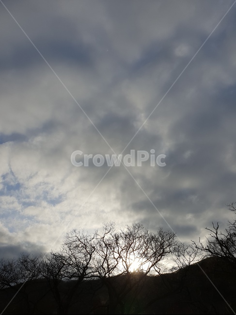 해질녘,저녁,하늘,겨울,쓸쓸함,구름,나무,자연,풍경,nature,landscape,weather,날씨,outdoors,옥외,sky,cumulus,적운,cloud