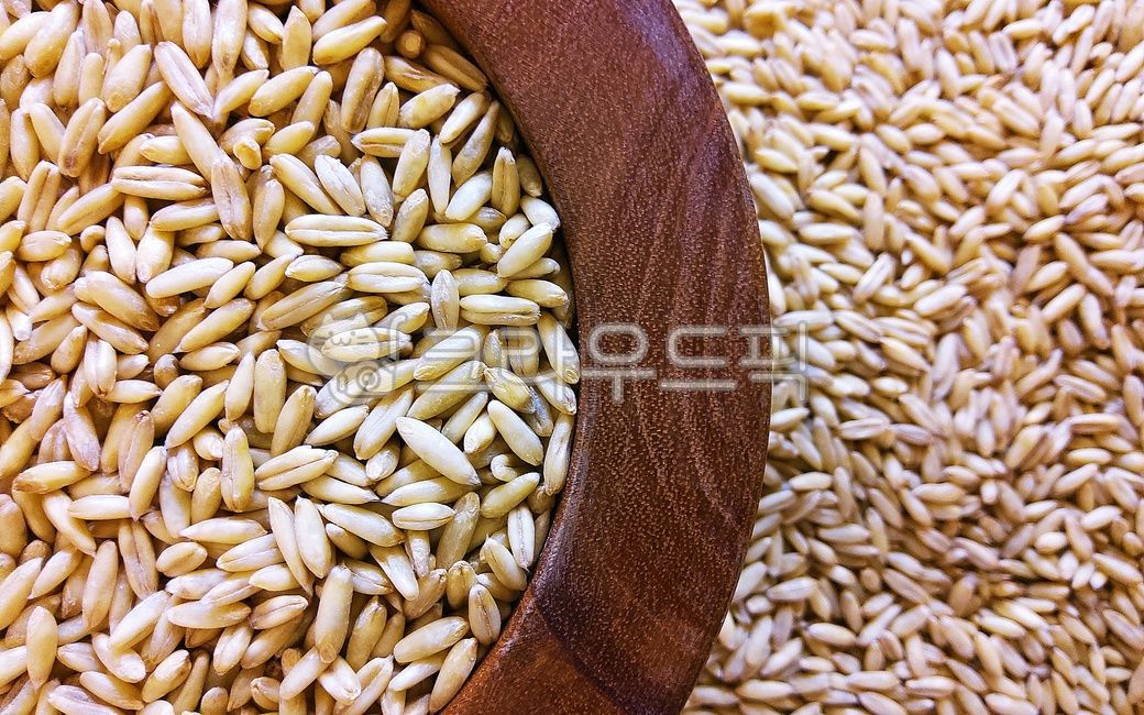 음식,귀리,오트밀,자연의,건강한,곡물,grain,oatmeal,oat,food,healthy,natural,woodenbowl,dried,음식,식재료,요리,food,cook,meal,dishes,food reserves,곡류,곡식,cereals