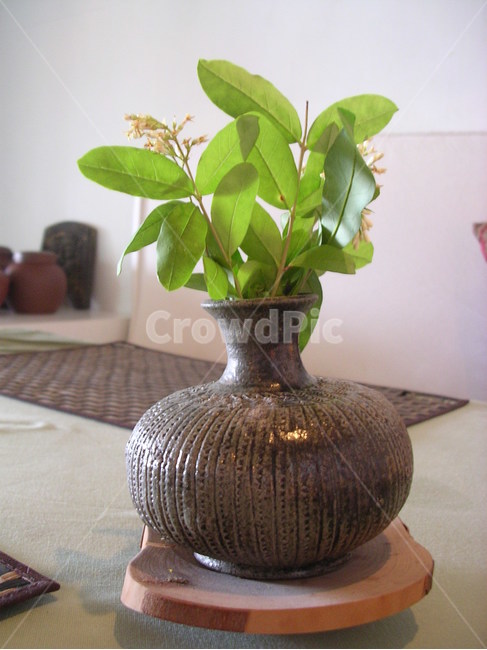 식물,plant,화병,vase,flowervase