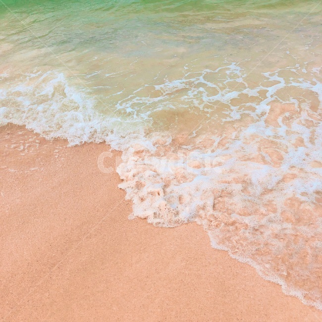 바다,세부,필리핀,바닷가,해변