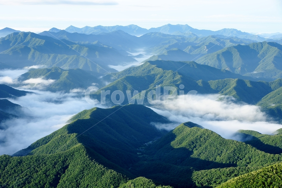 대둔산,운해,신록,구름,안개,소나무,완주군,자연,풍경,nature,landscape,한국자연풍경,한국자연경관,korea nature landscape,mountain,산,mountain range,산맥,outdoors,옥외,scenery,peak,피크