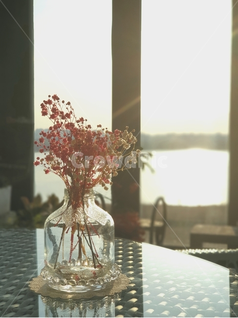 homedecor,가정장식,꽃,화분,노을,창가,유리,sunset,빨강,실내용화초,화분,화초,house plant