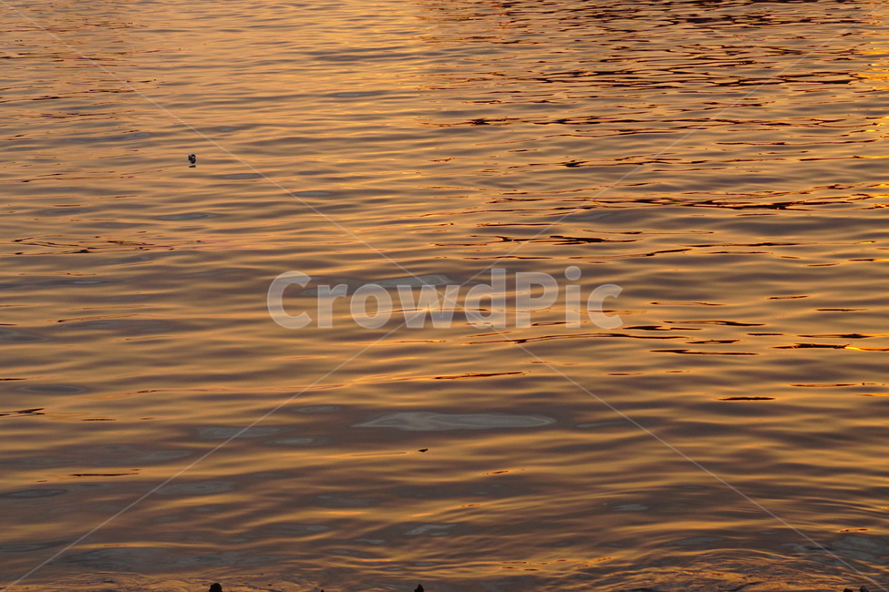 일몰,water,물,sunset,바다,강,물결,자연,풍경,nature,landscape
