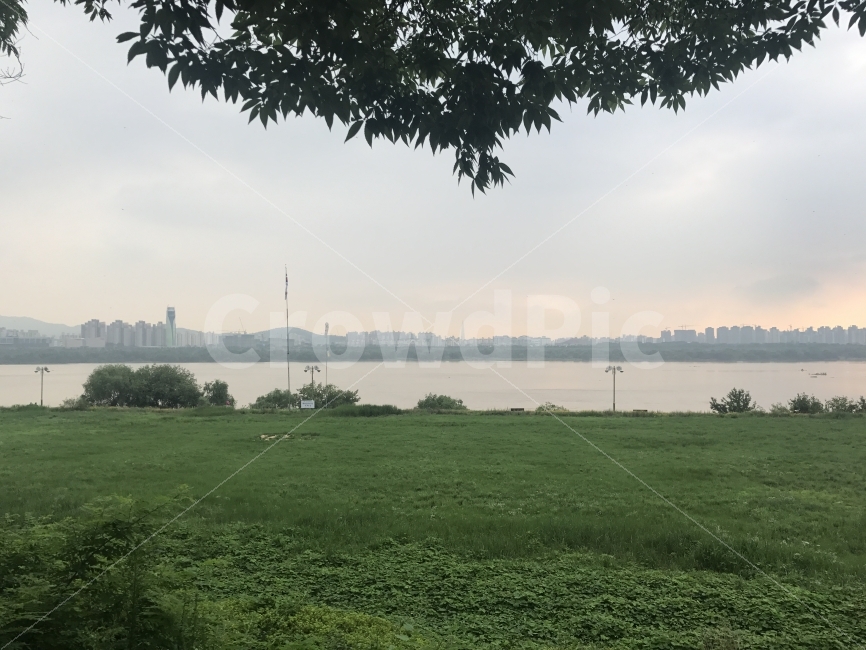 해질녘,한강,남양주,풀숲,하늘,도시,풍경,city,landscape,grass,잔디,plant,식물,lawn