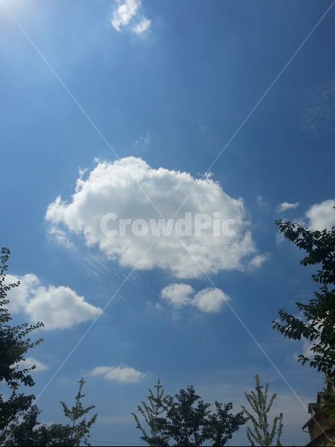 구름,파란하늘,하얀구름,뭉게구름,특이한구름,파란,하얀,special,cloud,sky,bluesky