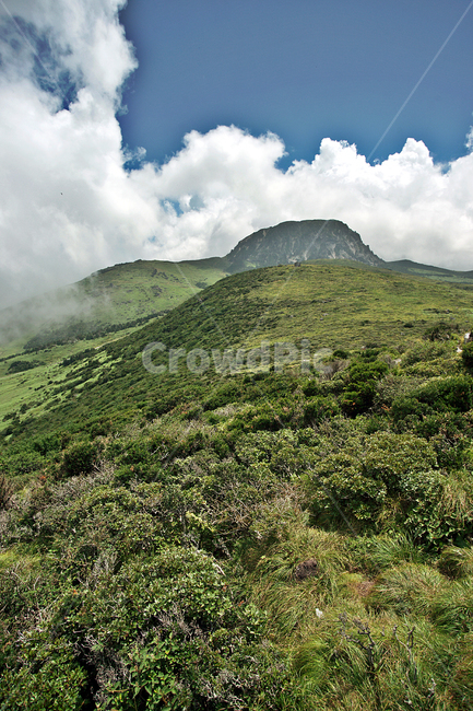 한라산,윗세오름,제주,영산,구름,운무,영실코스,자연,수풀,자연,풍경,nature,landscape,한국자연풍경,한국자연경관,korea nature landscape,제주도,jeju,jeju island,outdoors,옥외,hill,언덕