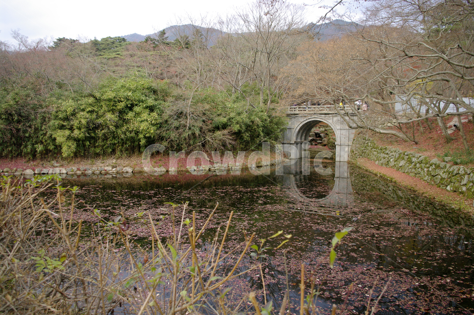 풍경,다리,연못,가을,fall,나무,식물,plant,자연,풍경,nature,landscape,outdoors,옥외