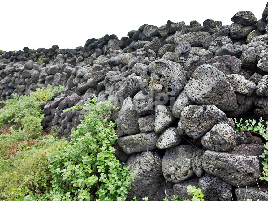 돌담,제주,올레14코스,올레길,화산석,자연,풍경,nature,landscape,제주도,jeju,jeju island,rock,록,rubble,파편
