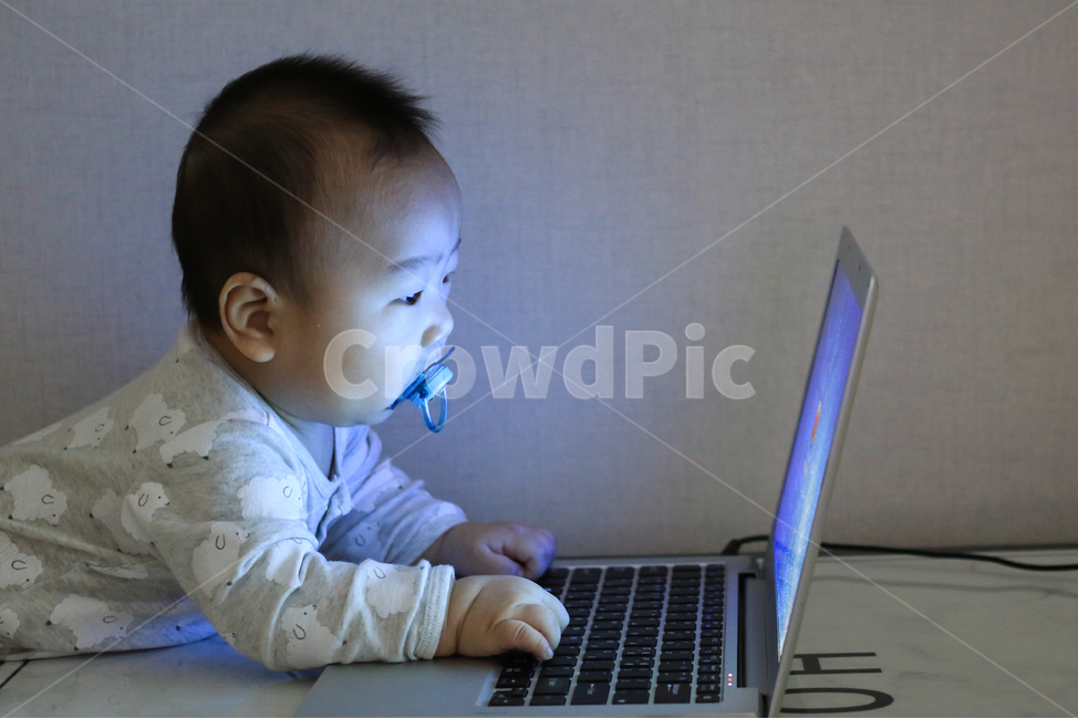 아기,애기,컴퓨터,노트북,집중,업무,야근,워라밸,타이핑,랩탑,유아,영아,귀여운,자판,타자,남자아이,남자아기,일,아들,작업,모니터,키보드,작은,어린,아가,인터넷,얼리어답터,사무직,아동,아동노동,사람,인물,인간,human,person,영유아,아기,애기,아이,infants,baby,정보통신기술,전자기기,전자제품,it,information,technology,electronic equipment