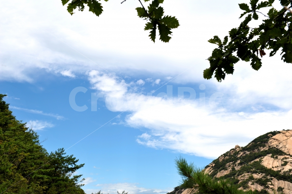 하늘,구름,산,바위,나무,자연,풍경,nature,landscape,한국자연풍경,한국자연경관,korea nature landscape,plant,식물,tree