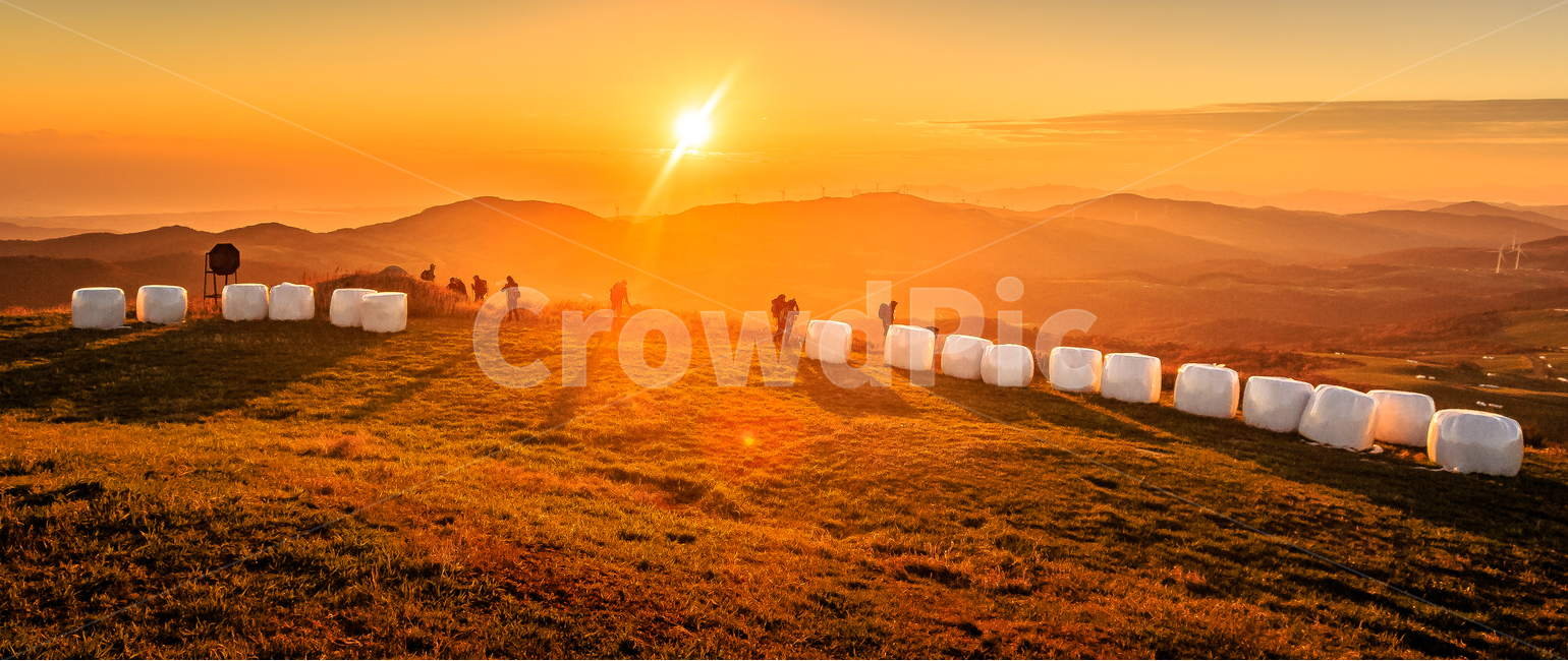 선자령,일출,가을,목장,대관령,풀,자연,풍경,nature,landscape,사람들,대중,군중,other people,crowd,outdoors,옥외,light,빛,flare,플레어