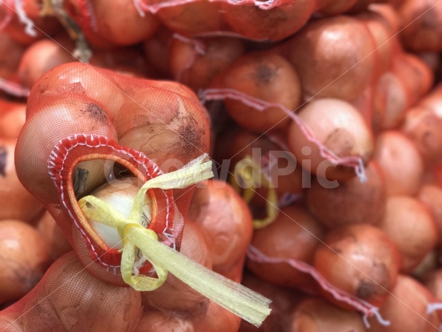 양파,양파망,음식,식재료,마트,음식,식재료,요리,food,cook,meal,dishes,food reserves,채소,야채,vegetables