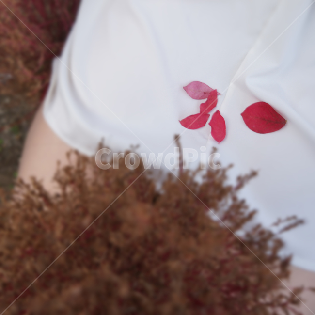 꽃잎,소녀,여자,분위기,girl,female,petal,leaf,낙엽,사람,쓸쓸함,감성,feeling,감성사진